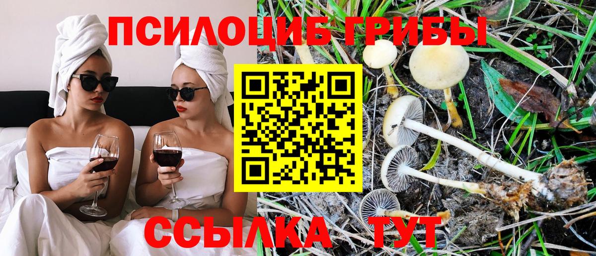 Галлюциногенные грибы Magic Shrooms Апшеронск