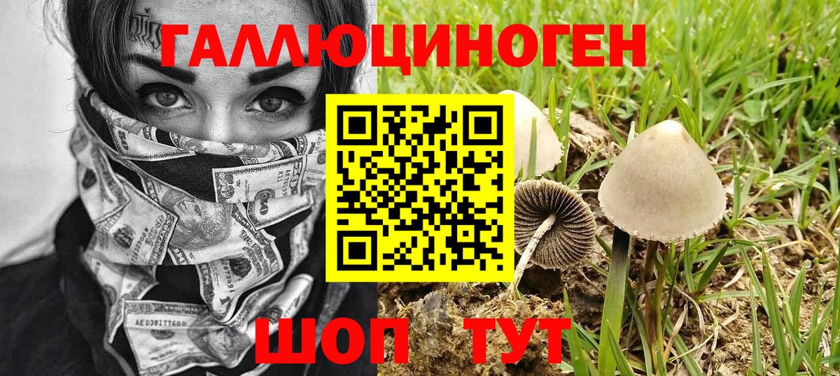 Галлюциногенные грибы Magic Shrooms  магазин    Апшеронск  Вход с VPN 